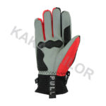SKI GLOVES