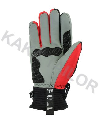 SKI GLOVES